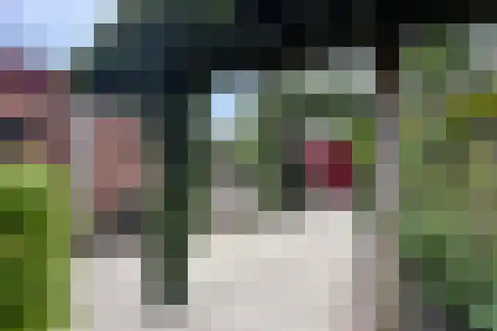 Lathyrusstraat 15 De Bilt thumbnail 21