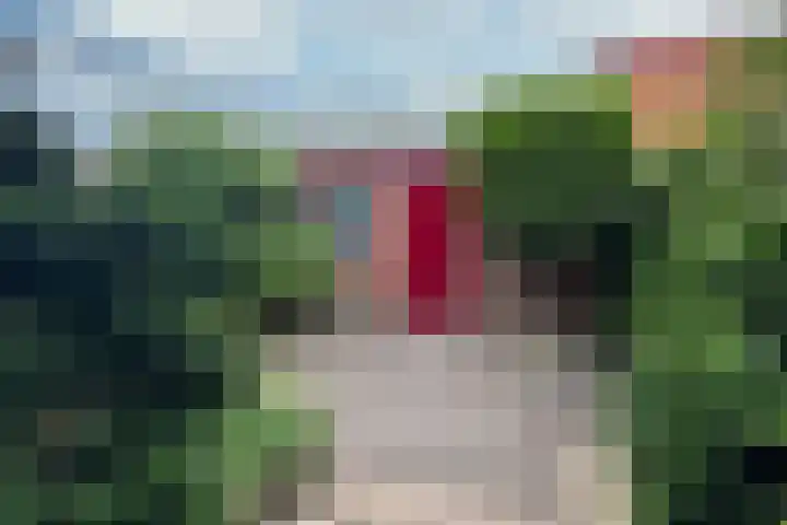 Lathyrusstraat 15 De Bilt thumbnail 24