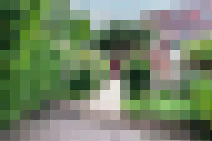 Lathyrusstraat 15 De Bilt thumbnail 25