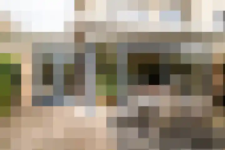 Laurenspark 134 Breda thumbnail 33