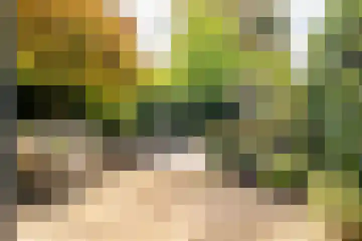 Laurenspark 134 Breda thumbnail 36