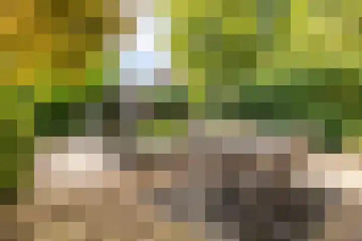 Laurenspark 134 Breda thumbnail 4