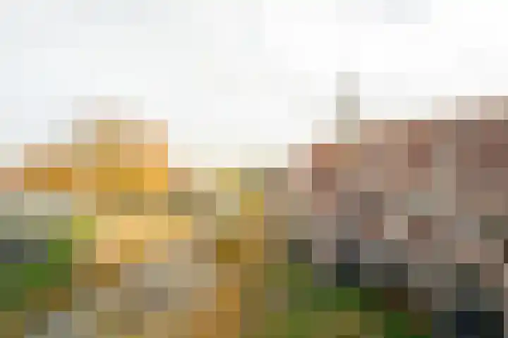 Laurenspark 70 Breda thumbnail 29