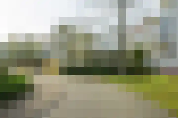 Laurenspark 70 Breda thumbnail 60