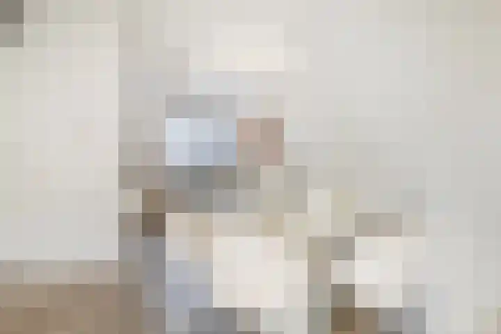 Laurentiden 20 Assendelft thumbnail 10