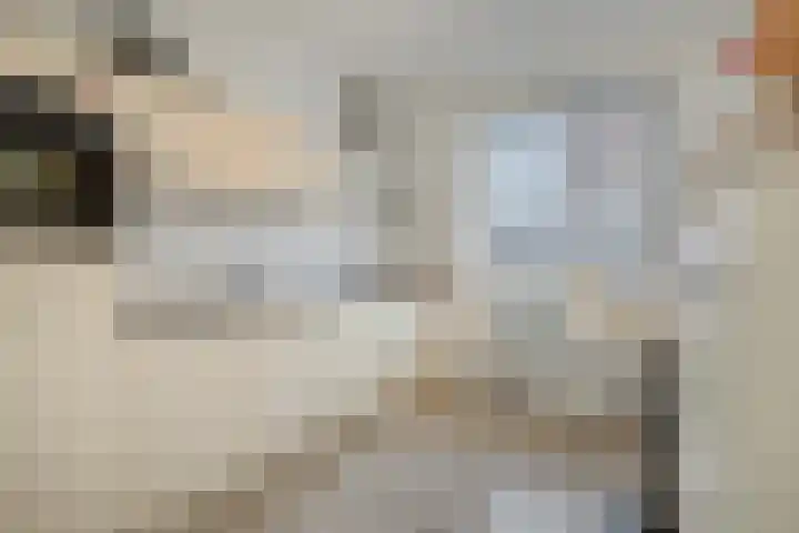 Laurentiden 20 Assendelft thumbnail 11