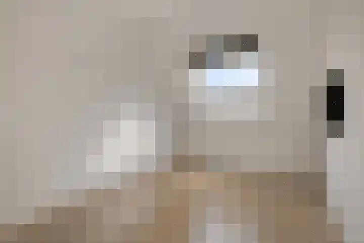 Laurentiden 20 Assendelft thumbnail 15
