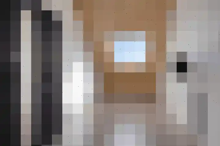 Laurentiden 20 Assendelft thumbnail 20