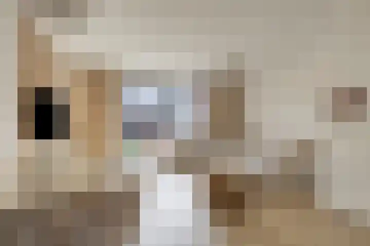 Laurentiden 20 Assendelft thumbnail 8
