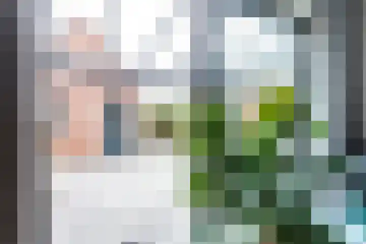 Laurentiden 25 Assendelft thumbnail 15