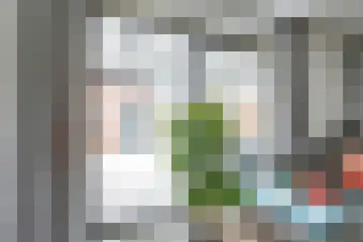 Laurentiden 25 Assendelft thumbnail 16