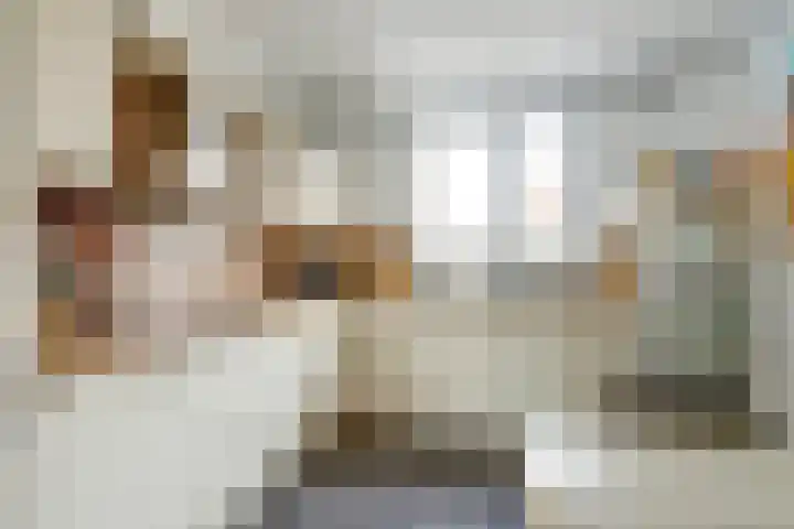 Laurentiden 25 Assendelft thumbnail 19