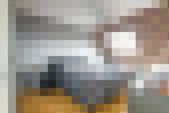 Laurentiden 25 Assendelft thumbnail 22