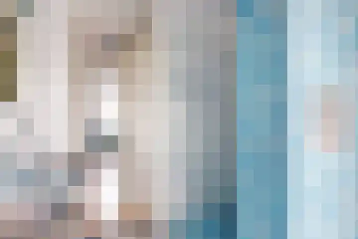Laurentiden 25 Assendelft thumbnail 27