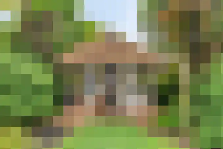 Laurier 12 Coevorden thumbnail 41