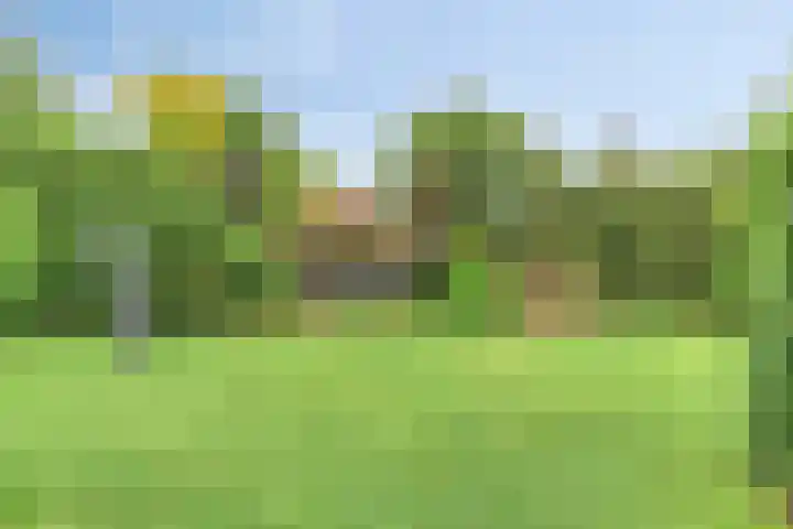 Laurier 12 Coevorden thumbnail 43