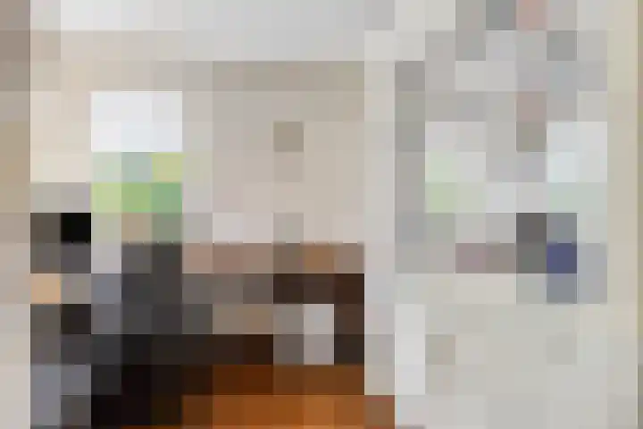 Laurier 12 Coevorden thumbnail 6