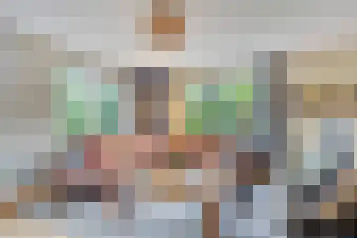 Laurier 12 Coevorden thumbnail 8
