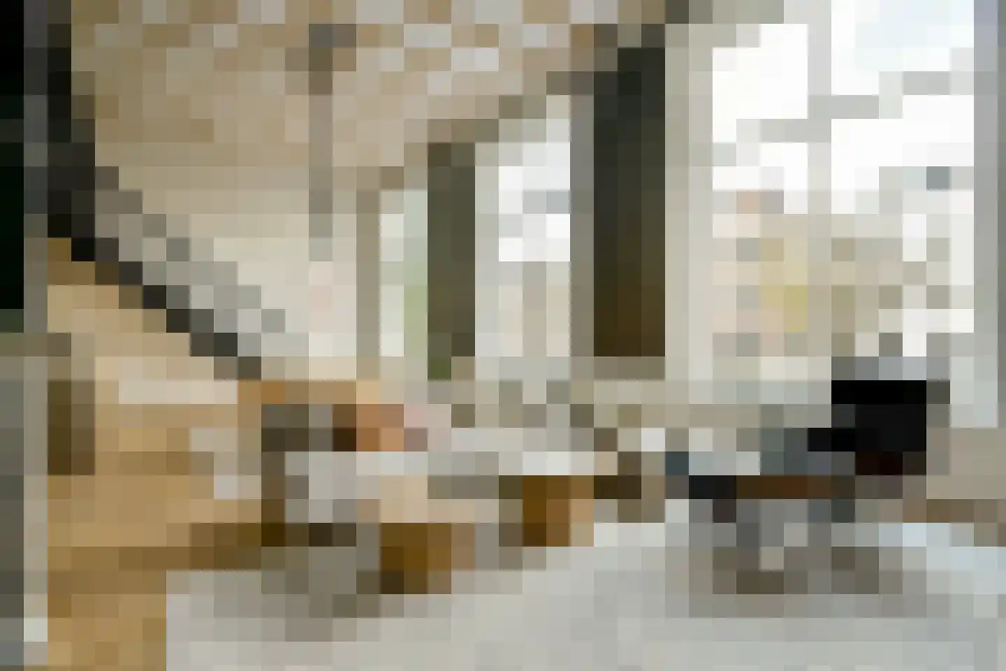 Lauriergracht 41 E Amsterdam