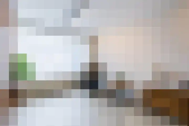 Laurierstraat 24 Echt thumbnail 10