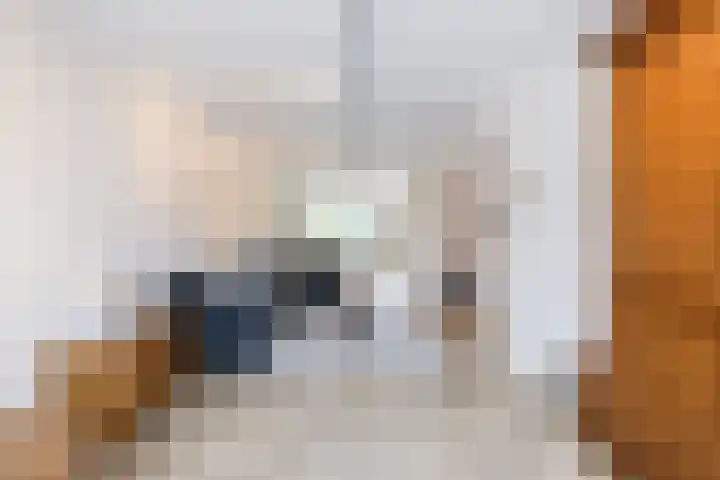 Laurierstraat 24 Echt thumbnail 12