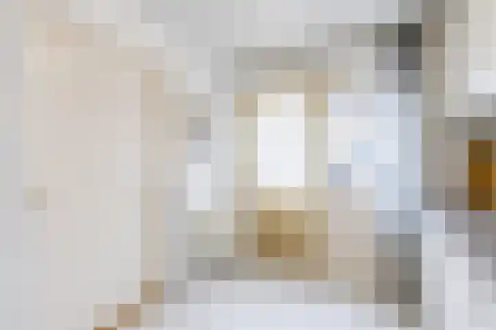 Laurierstraat 24 Echt thumbnail 21