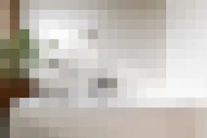 Laurierstraat 24 Echt thumbnail 37