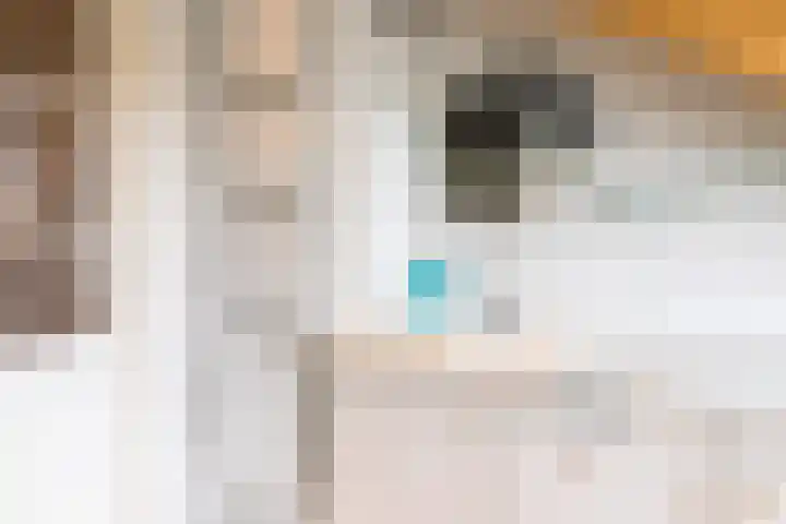 Laurierstraat 24 Echt thumbnail 38