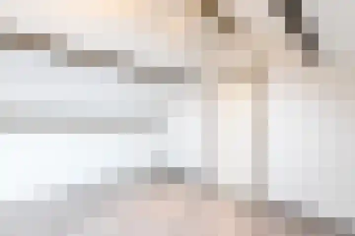 Laurierstraat 24 Echt thumbnail 47