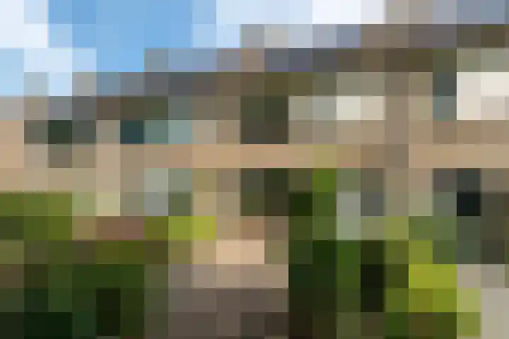 Lautastins 35 Stiens thumbnail 26