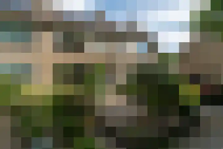 Lautastins 35 Stiens thumbnail 27