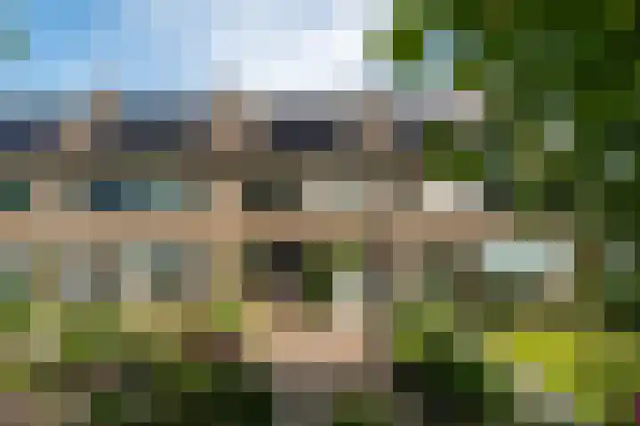 Lautastins 35 Stiens thumbnail 28