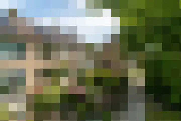 Lautastins 35 Stiens thumbnail 29