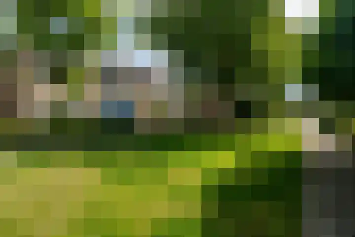 Lautastins 35 Stiens thumbnail 30