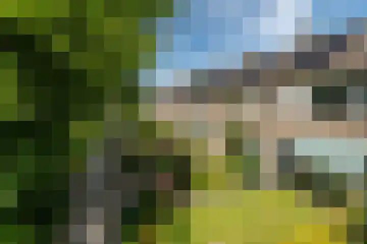 Lautastins 35 Stiens thumbnail 31