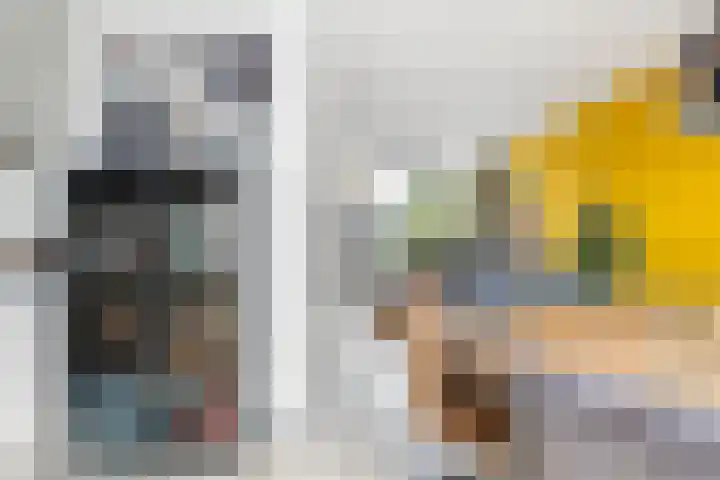 Lautastins 8 Stiens thumbnail 11