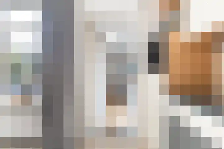 Lautastins 8 Stiens thumbnail 18