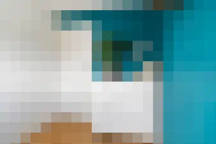 Lautastins 8 Stiens thumbnail 27