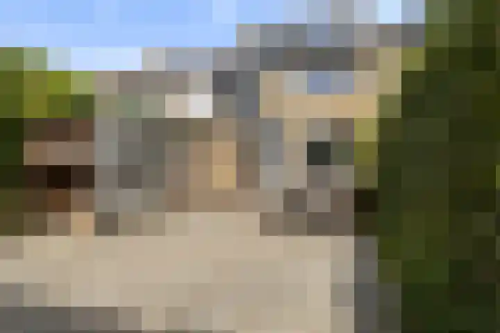 Lautastins 8 Stiens foto 3