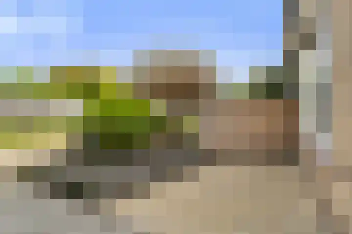 Lautastins 8 Stiens thumbnail 38