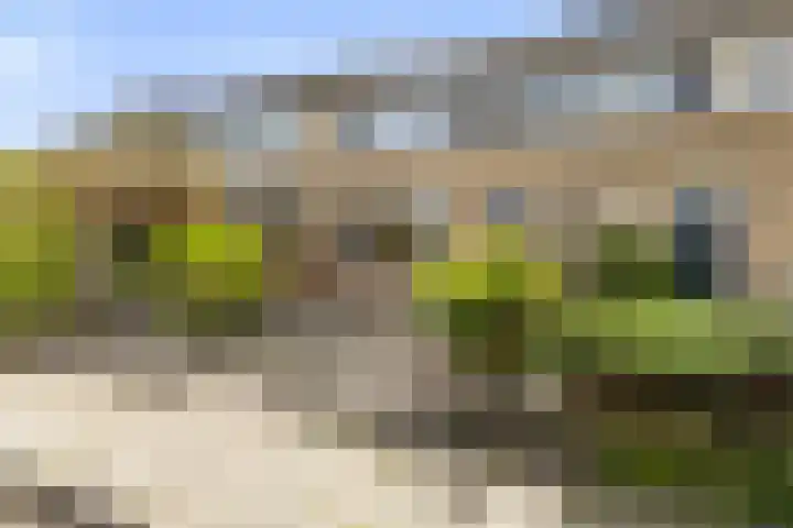 Lautastins 8 Stiens thumbnail 40