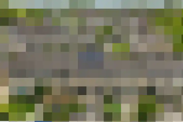 Lautastins 8 Stiens thumbnail 43