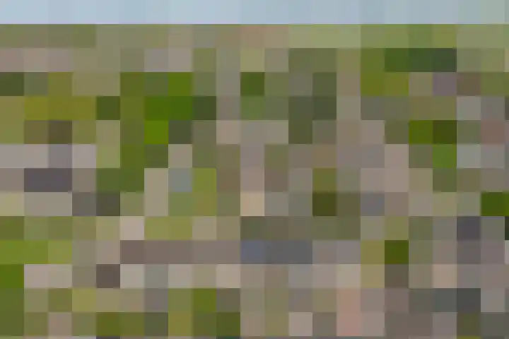 Lautastins 8 Stiens thumbnail 45