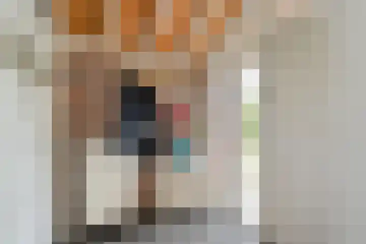 Kantoor foto van Lauwaars Makelaars | Qualis