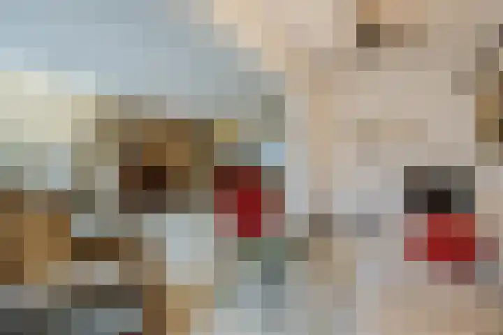 Lauwere 102 Uden thumbnail 11