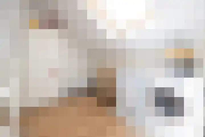 Lauwere 102 Uden thumbnail 12