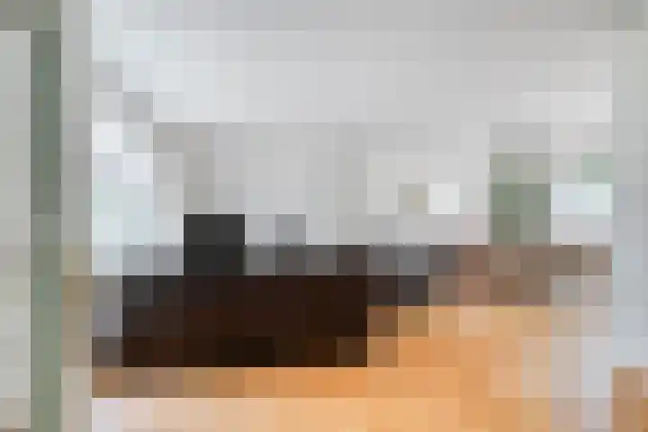 Lauwere 102 Uden thumbnail 13