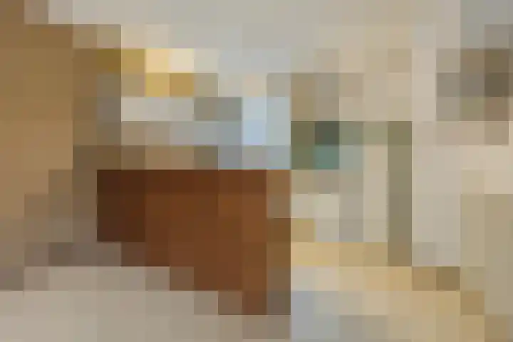 Lauwere 102 Uden thumbnail 16