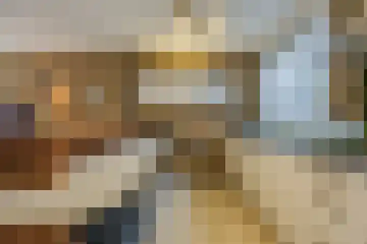 Lauwere 102 Uden thumbnail 17