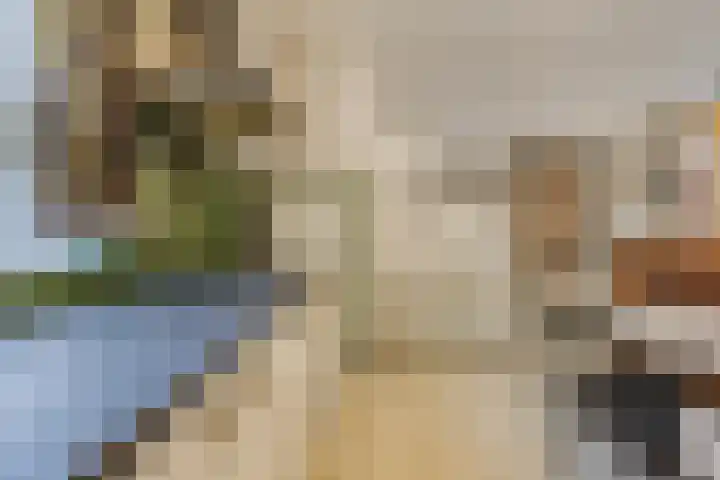 Lauwere 102 Uden thumbnail 18